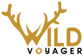 Wild Voyager